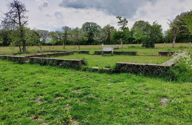Natuurgebied Kampina