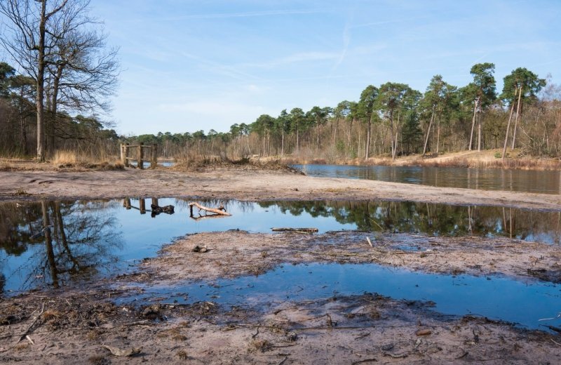 Oisterwijkse Bossen en Vennen