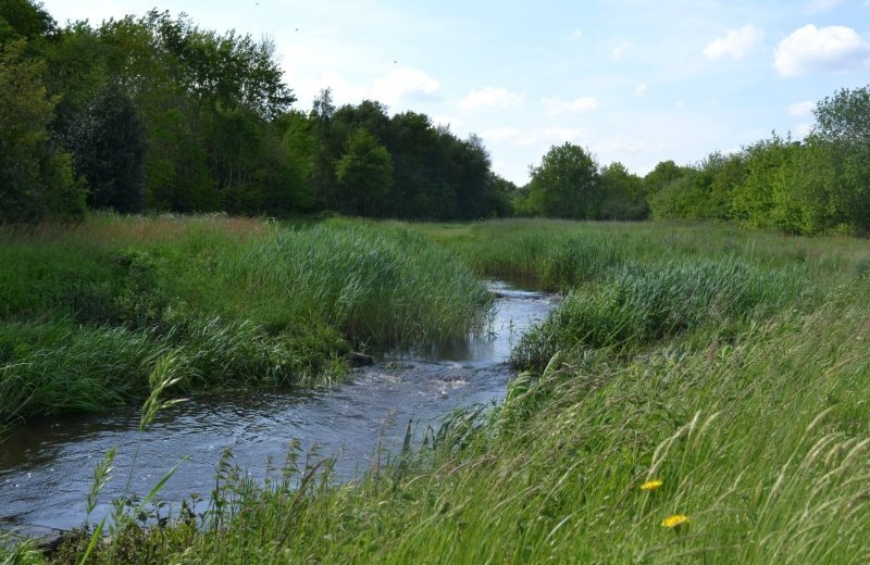 Rivier nabij camperpark