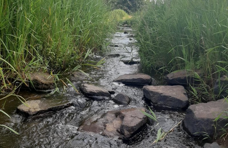 Vistrappen nabij camperpark viermannekesbrug