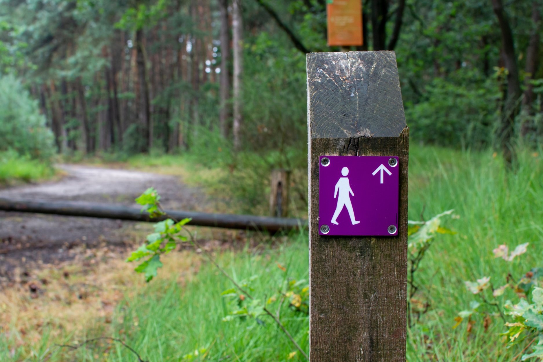 Wandelen omgeving Viermannekesbrug